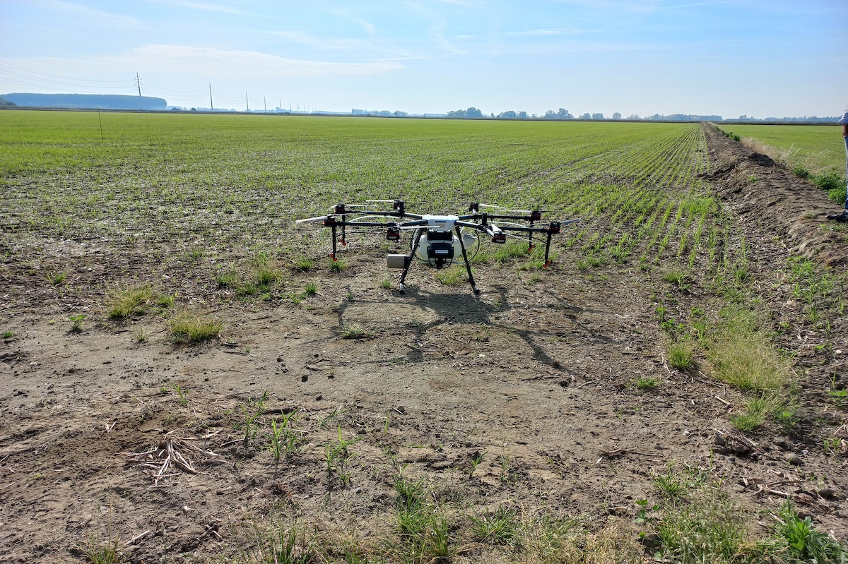 Drone impiegato nella sperimentazione su riso dal Servizio Fitosanitario della Regione Lombardia